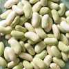 Flageolet Bean Seeds for sale